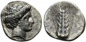 Lucania, Metapontion, Stater, ca. 340-330 BC; AR (g 7,13; mm 21; h 9); Diademed head of Hera r., wearing triple-drop earring and necklace; behind, cro...