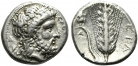 Lucania, Metapontion, Stater, ca. 340-330 BC; AR (g 7,70; mm 20; h 6); Head of Zeus r., wearing laurel wreath; behind, Δ; before, EΛEYΘEPIOΣ, Rv. Ear ...