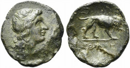 Anonymous, Litra, Neapolis, after 276 BC; AE (g 4,73; mm 24; h 12); Female head r., Rv. Lion walking r.; in ex. ROMANO. Crawford 16/1a; Sydenham 5.
Gr...