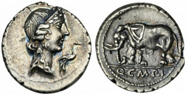 Q. Caecilius Metellus Pius, Denarius, North Italy, 81 BC; AR (g 3,92; mm 19; h 9); Head of Pietas r.; before, stork, Rv. elephant l.; in ex. Q C M P I...