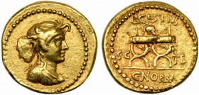 L. Cestius and C. Norbanus , Aureus, Rome, 43 BC; AV (g 8,05; mm 19; h 12); Draped bust of Africa r., wearing elephant skin headdress, Rv. Curule chai...