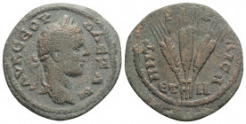 Roman Provincial
CAPPADOCIA, Caesarea, Severus Alexander (222-235 AD)
AE Bronze (21.7mm, 6.1g) 
Obv: ΑΥ Κ ϹƐΟΥΗ ΑΛƐΞΑΝΔΡΟ. Laureate head of Severus Al...