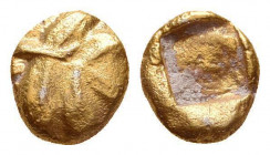 Rhodos, Kamiros EL 1/24 Stater. Circa 500-480 BC. Lydo-Milesian standard. Fig leaf / Rough incuse square. Reference: HNO 1234 (temporary); BMC Caria p...