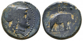 SELEUKID KINGDOM. 2nd - 1st Century. Ae Reference: Condition: Very Fine

 Weight: 7.40 Diameter: 19.7