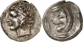 Sicile, Leontini. Tétradrachme ND (c.425 av. J.-C.), Leontini.
Certificat NGC AU 4/5 2/5 Fine style (5783261-004).
Av. Tête laurée d'Apollon à gauch...