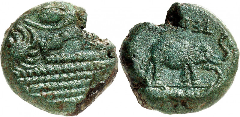 Bellovaques. Bronze lourd à l’éléphant ND (milieu du Ier s. av. J.-C.).
Av. Têt...