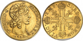 Louis XIII (1610-1643). Double louis d’or 1640, A, Paris.
PCGS MS62 (44031063).
Av. LVD. XIII D. G. FR. ET. NAV. REX. Tête laurée du Roi à droite, (...
