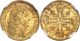 Louis XIV (1643-1715). Louis d’or à la perruque et aux huit L 1687, A, Paris.
NGC MS 64 (5784618-010).
Av. LVD. XIIII. D. G. FR. ET. NAV. REX. Tête ...