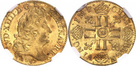 Louis XIV (1643-1715). Louis d’or à la perruque et aux huit L 1687, D, Lyon.
NGC MS 64 (5784618-008).
Av. LVD. XIIII. D. G. FR. ET. NAV. REX. Tête â...