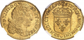 Louis XIV (1643-1715). Double louis d’or à l’écu, flan neuf 1690, S couronnée, Troyes.
NGC MS 63+ (5785097-002).
Av. LVD. XIIII. D. G. FR. ET. NAV. ...