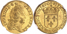 Louis XIV (1643-1715). Louis d’or à l’écu 1690, B, Rouen.
NGC MS 62 (5784618-005).
Av. LVD. XIIII. D. G. FR. ET. NAV. REX. Tête âgée du Roi à droite...