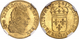 Louis XIV (1643-1715). Louis d’or à l’écu 1690, S, Reims.
NGC MS 64+ (S crown, sic!) (5784618-002).
Av. LVD. XIIII. D. G. FR. ET. NAV. REX. Tête âgé...