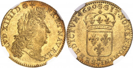 Louis XIV (1643-1715). Louis d’or à l’écu 1690, S, Reims.
NGC MS 62+ (5785094-010).
Av. LVD. XIIII. D. G. FR. ET. NAV. REX. Tête âgée du Roi à droit...