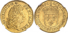 Louis XIV (1643-1715). Louis d’or à l’écu 1691, B, Rouen.
NGC MS 61 (6143412-002).
Av. LVD. XIIII. D. G. FR. ET. NAV. REX. Tête âgée du Roi à droite...