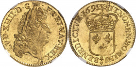Louis XIV (1643-1715). Louis d’or à l’écu 1691, X, Amiens.
NGC MS 63 (5784618-006).
Av. LVD. XIIII. D. G. FR. ET. NAV. REX. Tête âgée du Roi à droit...
