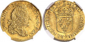 Louis XIV (1643-1715). Demi-louis d’or à l’écu 1691, S couronnée, Troyes.
NGC MS 64 (5784009-085).
Av. LVD. XIIII. D. G. FR. ET. NAV. REX. Tête âgée...
