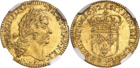 Louis XIV (1643-1715). Demi-louis d’or à l’écu, buste du demi-louis d’or à la perruque 1692, A, Paris.
NGC MS 63 (5784618-013).
Av. LVD. XIIII. D. G...