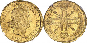 Louis XIV (1643-1715). Double louis aux huit L et aux insignes, réformation 1701, A, Paris.
NGC MS 61 (6437750-007).
Av. LVD. XIIII. D. G. FR. ET. N...