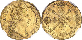Louis XIV (1643-1715). Double louis d’or aux insignes, buste aux cheveux longs, flan neuf 1706, A, Paris.
NGC MS 61 (5783258-026).
Av. LVD. XIIII. D...