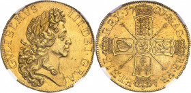Guillaume III (1694-1702). 5 guinées, 2e buste 1701, Londres.
NGC MS 62+ (5783259-019).
Av. GVLIELMVS. III. DEI. GRA. Buste lauré à droite.
Rv. MAG...