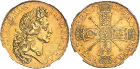 Guillaume III (1694-1702). 5 guinées, 2e buste 1701, Londres.
NGC AU 58+ (5785097-004).
Av. GVLIELMVS. III. DEI. GRA. Buste lauré à droite. 
Rv. MA...