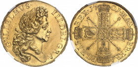 Guillaume III (1694-1702). 5 guinées, 2e buste 1701, Londres.
NGC UNC DETAILS REPAIRED (5785094-029).
Av. GVLIELMVS. III. DEI. GRA. Buste lauré à dr...
