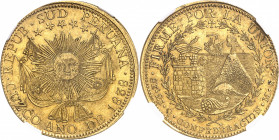 République du Pérou (depuis 1821). 8 escudos 1838, Cuzco.
NGC AU 58 (5783257-073).
Av. REPUB. SUD PERUANA / CUZCO ANO DE (date). Soleil visagé rayon...