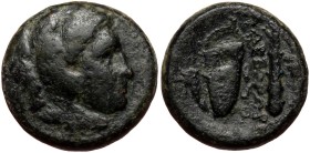 Kingdom of Macedon, uncertain mint in Macedon, AE (Bronze, 17,9 mm, 6,31 g), Alexander III the Great (336-323 BC).
Obv: Head of Herakles right, weari...