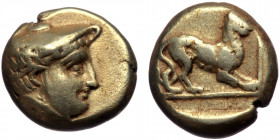 Lesbos, Mytilene EL Hekte (Gold, 2.46g, 10mm) ca 377-326 BC. 
Obv: Head of Hermes right, wearing petasos 
Rev: Lion standing right in linear square wi...