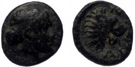 Troas. Antandros AE (Bronze, 9mm, 0.59g) 4th-3rd century BC.
Obv: Laureate head of Apollo to right. 
Rev: ANTAN Head of a roaring lion to right; above...