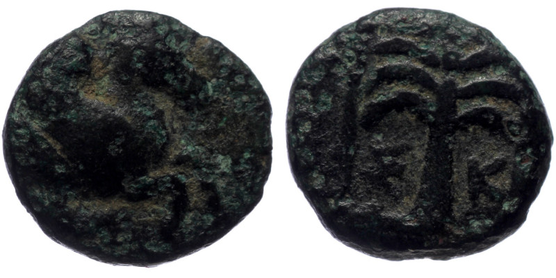 Troas Skepsis. Ae (Bronze, 1.22g, 10mm) 4th century BC 
Obv: Rhyton with forepar...