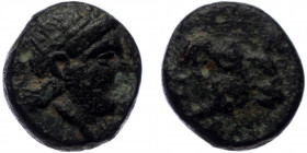 Troas, Kebren, AE (Bronze, 8,5 mm, 1,00 g), ca. 387-310 BC. 
Obv: Head of a ram right. 
Rev. Laureate head of Apollo right. 
Ref: SNG München 287, SNG...