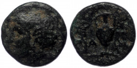 Aeolis, Larissa Phrikonis AE (Bronze, 1.23g, 9mm) 4th century BC
Obv: Female head left, with hair in sphendone.
Rev: ΛΑ - ΡΙ. Amphora; kerykeion to le...