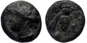 Ionia. Ephesos. AE (Bronze, 1.25g, 11mm) ca 375-325 BC
Obv: Female head left, wearing mural-crown.
Rev: E - Φ, Bee.
Ref: SNG von Aulock 1839; SNG Cope...