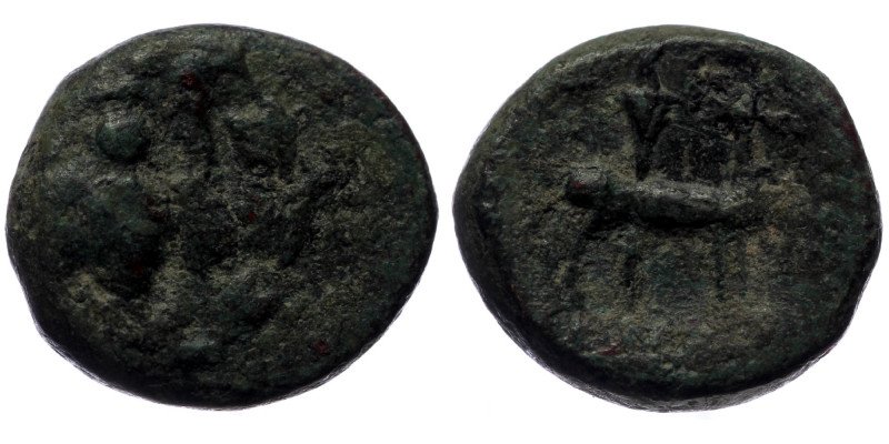 Ionia. Ephesos. AE (Bronze, 2.66g, 13mm) ca 50-27 BC Aineas (?), magistrate.
Obv...