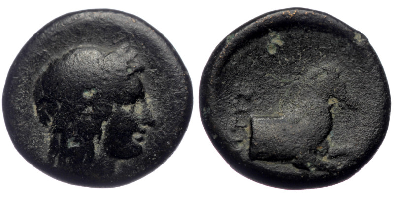 Ionia, Kolophon, AE chalkous (Bronze, 2.36g, 13mm), 4th - beginning of 3rd centu...