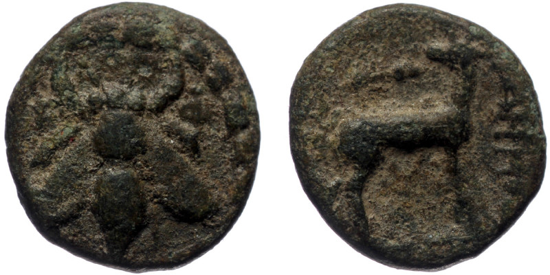 Ionia, Ephesos, chalkous (Bronze, 12,6 mm, 1,47 g), ca. 200 BC.
Obv: E-Φ, bee wi...