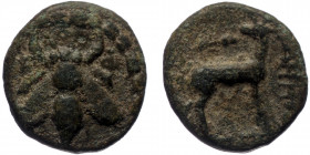 Ionia, Ephesos, chalkous (Bronze, 12,6 mm, 1,47 g), ca. 200 BC.
Obv: E-Φ, bee within wreath. 
Rev: Stag standing right, head left, quiver above, magis...