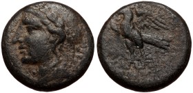 Caria, Halikarnassos, AE (bronze, 6,15 g, 17 mm) ca. 2nd-1st c. BC
Obv: Laureate head of Apollo left
Rev: Eagle standing left with open wings, meand...