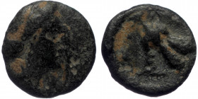 Caria, Rhodos, AE chalkous (Bronze, 10,6 mm, 0,80 g), ca. 408/7-385 BC. 
Obv: Head of Rhodos right. 
Rev: Rose with buds to left and right. 
Ref: HGC ...