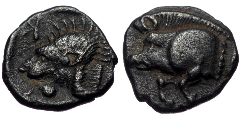 Mysia, Cyzicus, AR obol (Silver, 9,4 mm, 0,75 g), ca. 475-450 BC.
Obv: Forepart ...