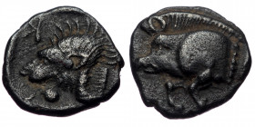 Mysia, Cyzicus, AR obol (Silver, 9,4 mm, 0,75 g), ca. 475-450 BC.
Obv: Forepart of boar left, behind, tunny. 
Rev: K (retrograde), head of lion left, ...