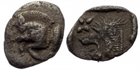 Mysia, Cyzicus, AR hemiobol (Silver, 9,6 mm, 0,29 g), 5th century BC.
Obv: Forepart of boar left, tunny upward behind. 
Rev: Head of roaring lion left...