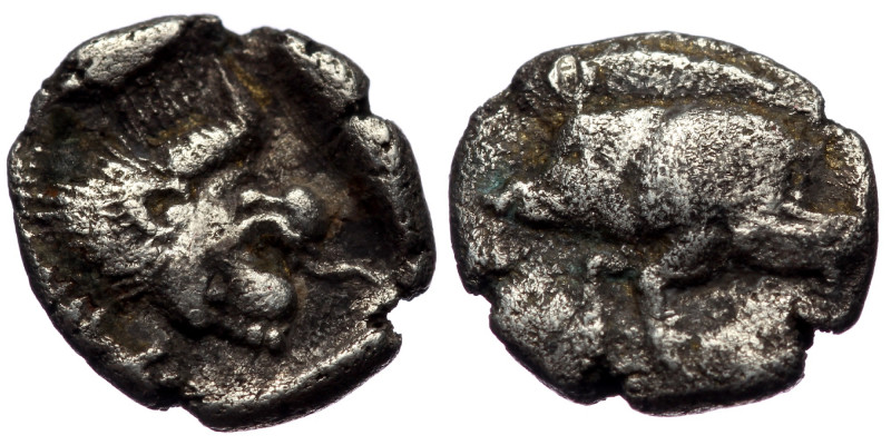 Mysia, Cyzicus, AR obol (Silver, 10,0 mm, 0,69 g), 5th century BC.
Obv: Forepart...