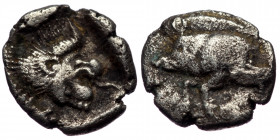 Mysia, Cyzicus, AR obol (Silver, 10,0 mm, 0,69 g), 5th century BC.
Obv: Forepart of boar left, tunny upward behind. 
Rev: Head of roaring lion left wi...