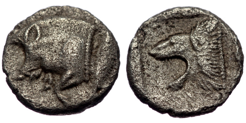 Mysia, Cyzicus, AR obol (Silver, 8,1 mm, 0,50 g), ca. 450-400 BC.
Obv: forepart ...