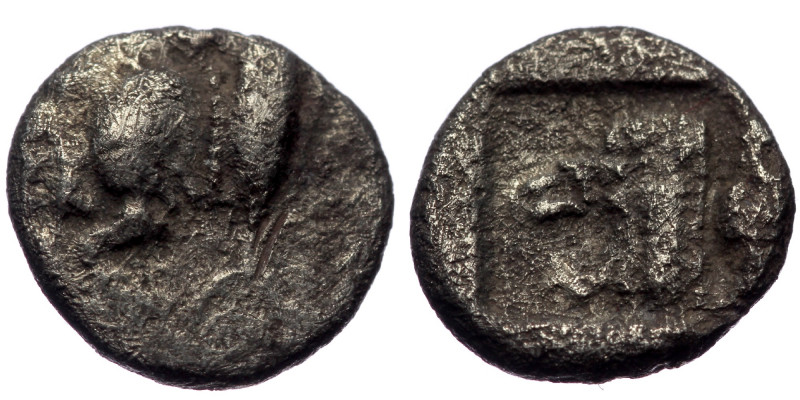 Mysia, Cyzicus, AR diobol (Silver, 9,8 mm, 0,91 g), ca. 450-400 BC.
Obv: forepar...