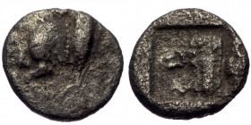 Mysia, Cyzicus, AR diobol (Silver, 9,8 mm, 0,91 g), ca. 450-400 BC.
Obv: forepart of boar left, tunny behind. 
Rev: roaring lions head left. 
Ref: SNG...