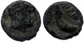 Mysia, Priapos, AE (Bronze, 11,8 mm, 1,75 g), 3rd century BC.
Obv: Laureate head of Apollo right. 
Rev: ΠΡΙ - A, shrimp or cray-fish right. 
Ref: SNG ...