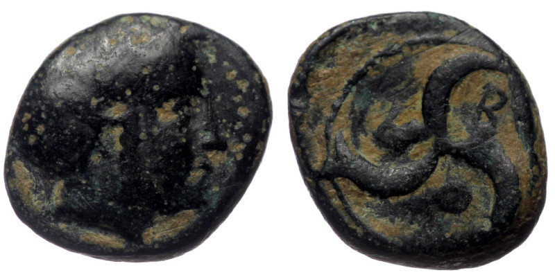 Mysia, Thebe, AE (Bronze, 10,7 mm, 1,08 g), 4th-3rd centuries BC.
Obv: Head of D...